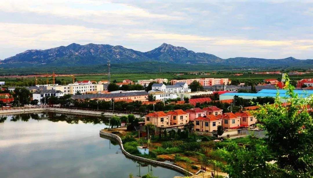 青島市“十四五”生態(tài)環(huán)境保護(hù)規(guī)劃了哪些農(nóng)村人居環(huán)境治理任務(wù)？